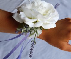 Levanulová v Mikulově