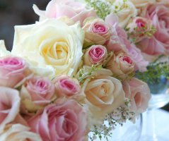 Svatba v penzionu U farmáře