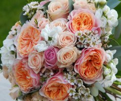 Svatba v lososových tónech