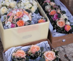 Svatba v lososových tónech