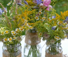 Svatba na Levém Hradci