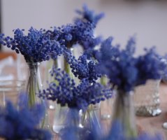 Modřencová venkovská svatba