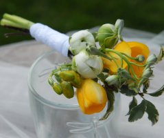 Na zámku ve Slatiňanech