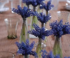 Modřencová venkovská svatba