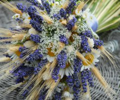 Levandulová svatba v Botanice