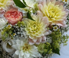 Svatba v Panenském Týnci