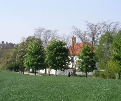 Modřencová venkovská svatba