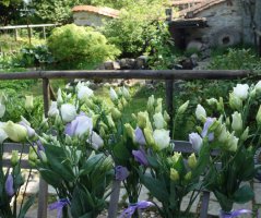 Svatba v Auberge de Provence