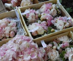 Svatba u zříceniny hradu Zvířetice