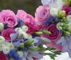 Fialovo růžová svatba