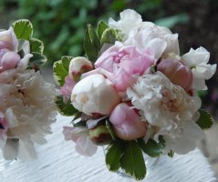 Svatba u zříceniny hradu Zvířetice