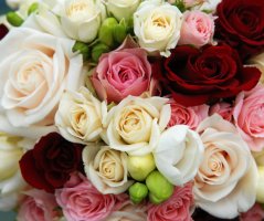 Svatba ve Vrtbovské zahradě