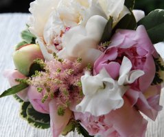 Svatba u zříceniny hradu Zvířetice