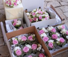 Romantická svatba v kapli Sv. Kláry