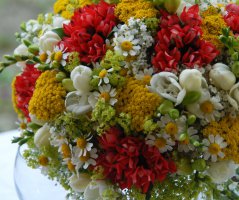 Svatba v Jeseníkách