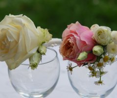 Svatba v Panenském Týnci