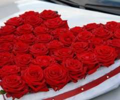 Svatba na Červeném hrádku