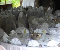 Levandulová svatba v Botanice