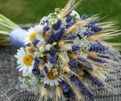 Levandulová svatba v Botanice