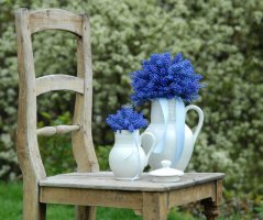 Modřencová venkovská svatba