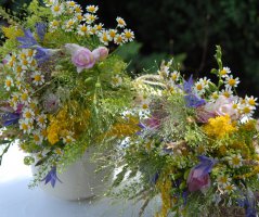 Svatba na Levém Hradci