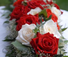 Svatba na Červeném hrádku