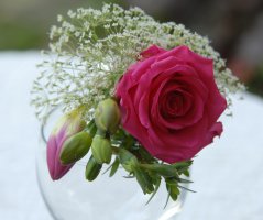 Svatba v Průhonickém parku