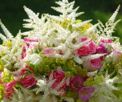 Svatba na hradě Zvíkov