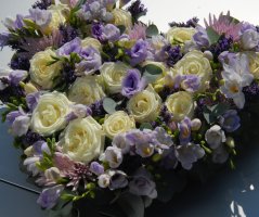 Levanulová v Mikulově