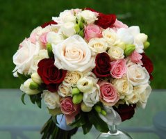 Svatba ve Vrtbovské zahradě