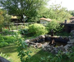 Svatba v Auberge de Provence