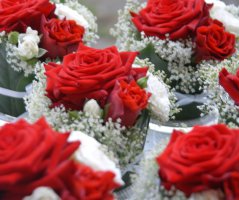 Svatba na Červeném hrádku