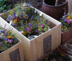 Svatba na Levém Hradci