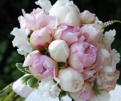 Svatba u zříceniny hradu Zvířetice