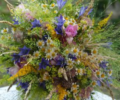 Svatba na Levém Hradci