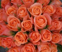 Všichni tam někoho máme