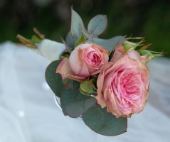 Svatba ve starorůžovém tónu