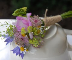 Svatba na Levém Hradci