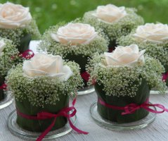 Svatba v Průhonickém parku