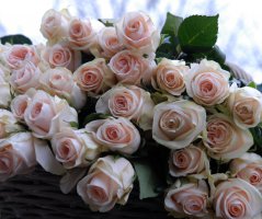 St. Havel - zaručená romantika