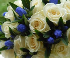 Svatba v Chateau St.Havel