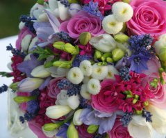 Fialovo růžová svatba