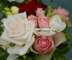 Svatba ve Vrtbovské zahradě