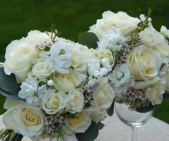 Svatba v lososových tónech