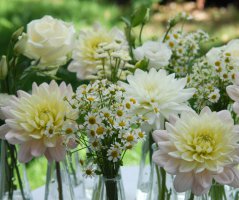 Svatba v Panenském Týnci