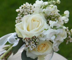 Svatba v lososových tónech