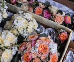 Svatba v lososových tónech