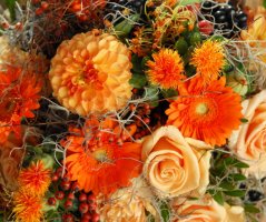 Všichni tam někoho máme