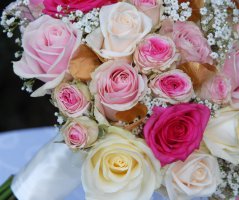 Svatba v penzionu U farmáře