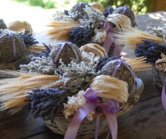 Levandulová svatba v Botanice